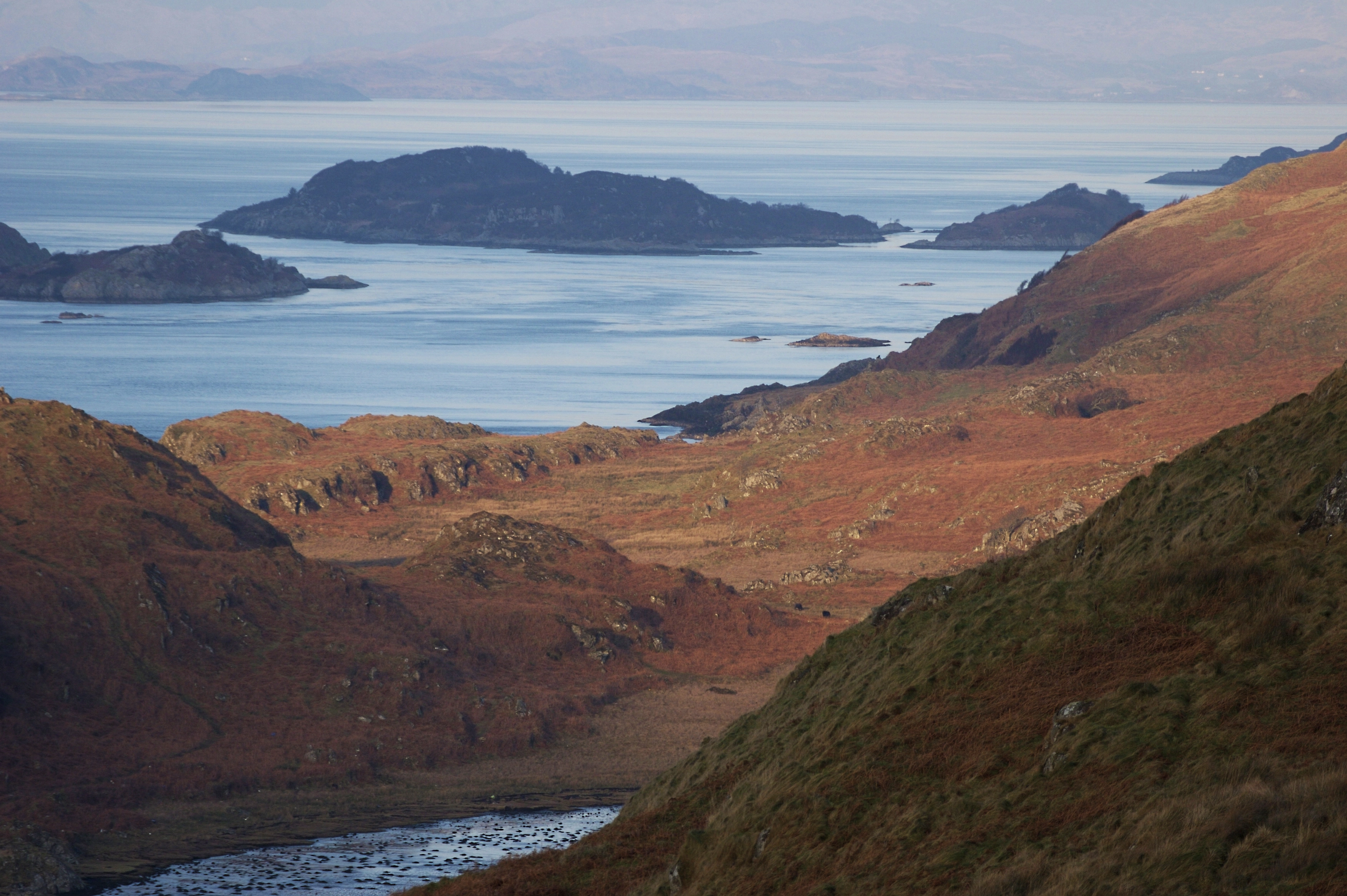 The UK Infrastructure Bank seeks views on its role in natural capital markets